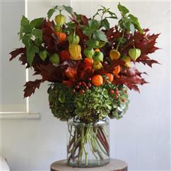 Chinese Lanterns Arrangement